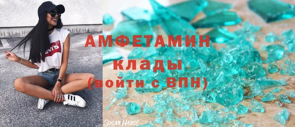 индика Иннополис