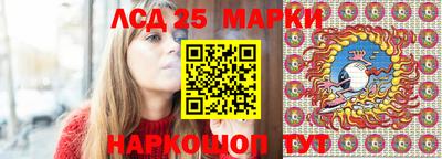 молекула духа Камышлов