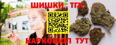 молекула духа Камышлов