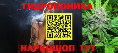 молекула духа Камышлов