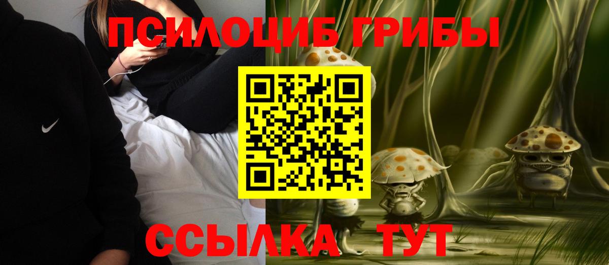 Псилоцибиновые грибы GOLDEN TEACHER Минеральные Воды
